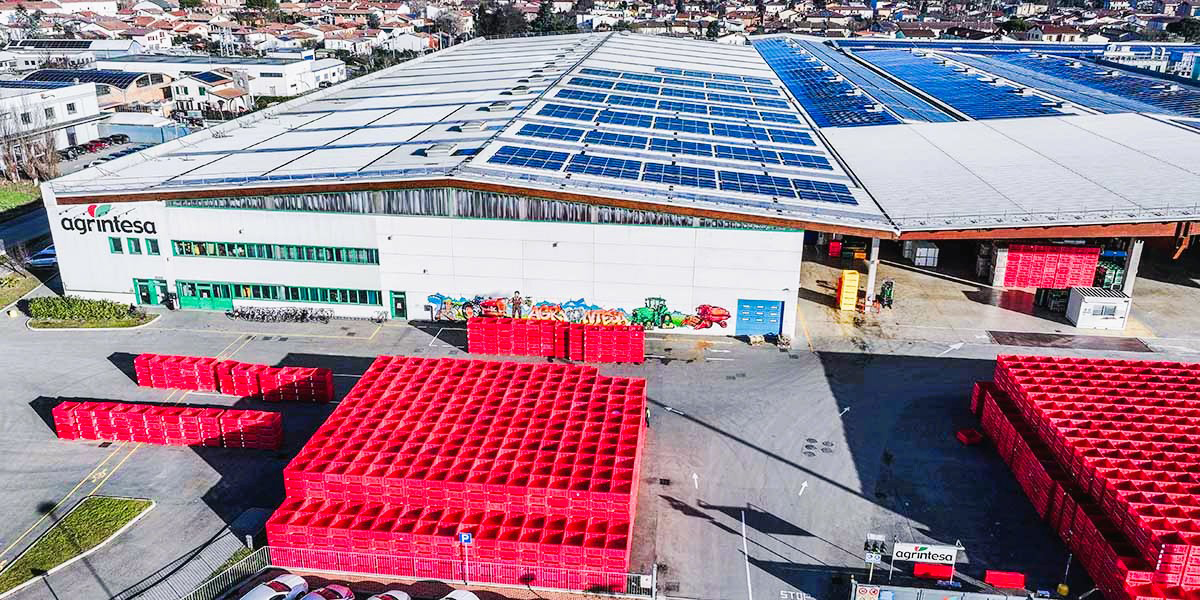 Agrintesa e Ulma Packaging: una partnership consolidata che guarda al futuro